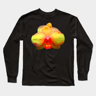 yellow orchid, orchids, flower, blossom Long Sleeve T-Shirt